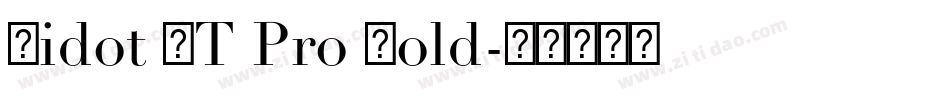 Didot LT Pro Bold字体转换